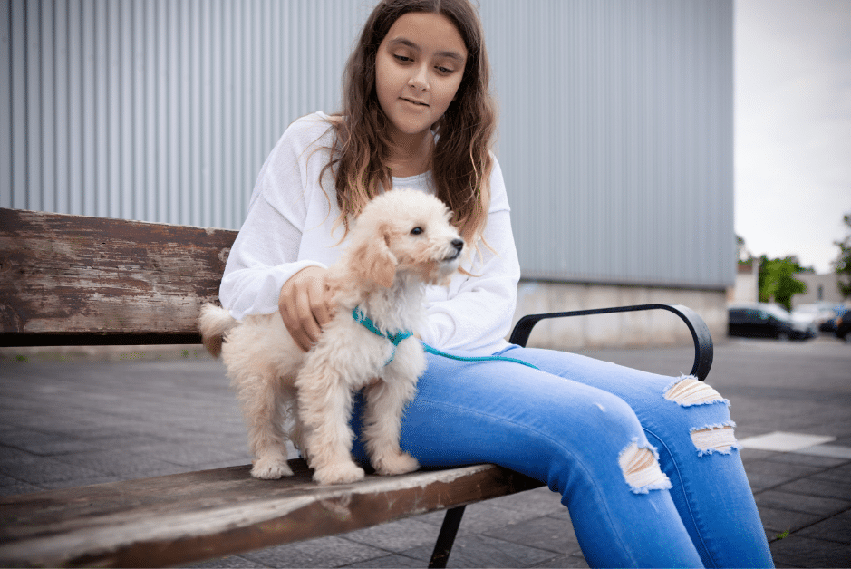 Girl With Poodle Puppy