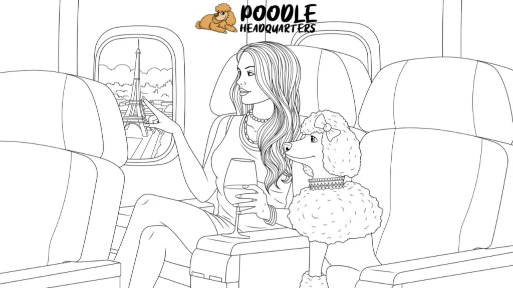 Traveling with your poodle