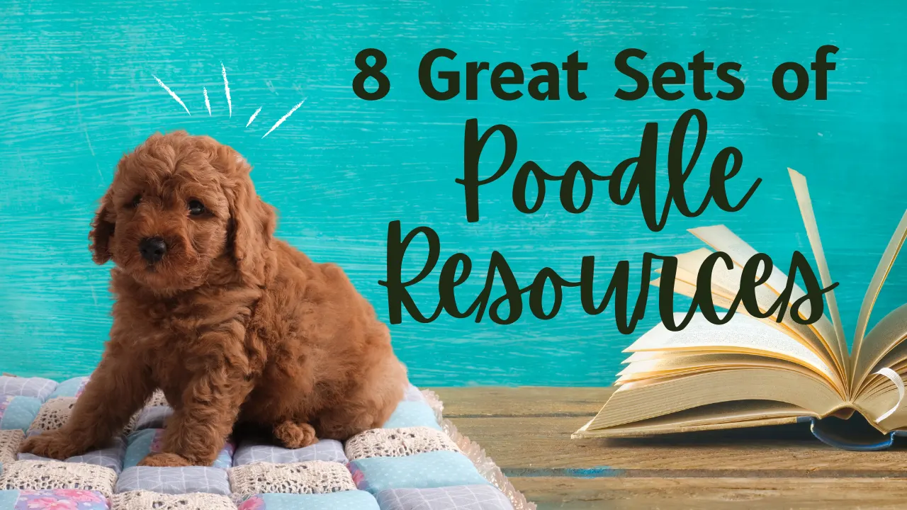 8 Great Sets of Poodle Resources