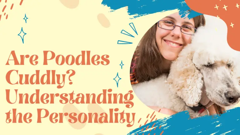 a woman holding a white poodle in her arms.