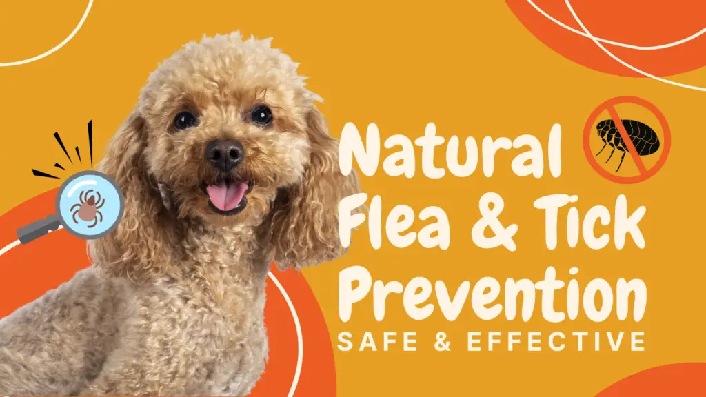 Natural Flea & Tick Prevention_ Safe & Effective