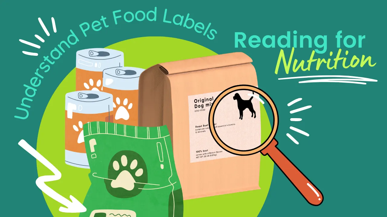Understand Pet Food Labels: Reading for Nutrition